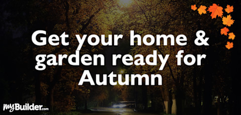 Autumn-tips