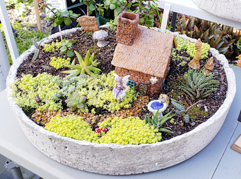 Fairy garden 3