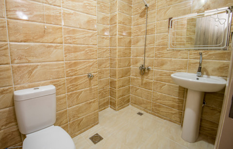 Wet room with shower