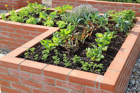 raised flower bed 2