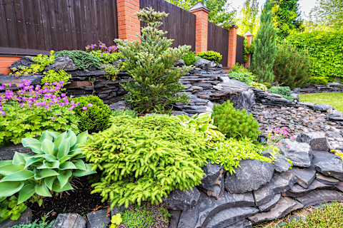 Rock Garden