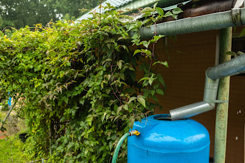Rainwater collection at home