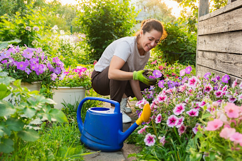 Gardening For Beginners