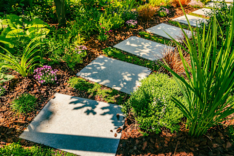 Paved path in garden