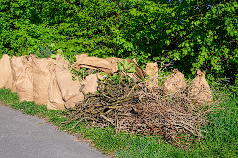 Garden waste removal cost 1