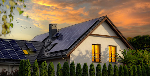Eco friendly home