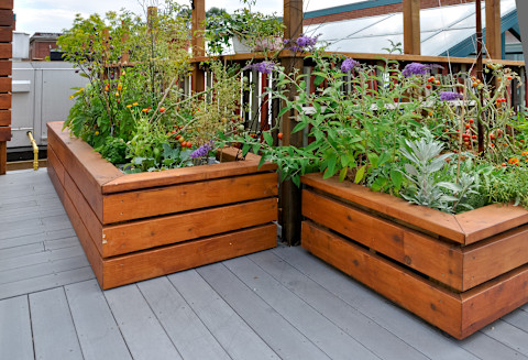 raised flower bed 3