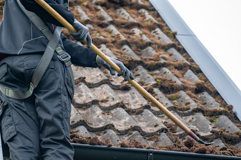 Roof tile cleaning