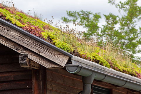 wooden-green-roof