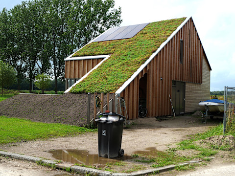 living-roof-house