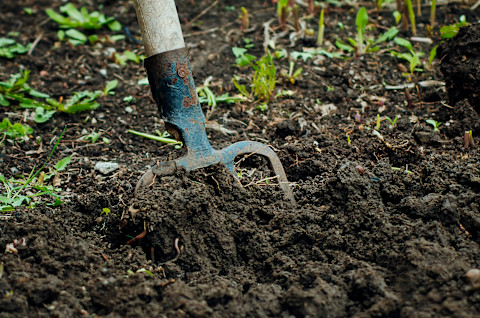 pitchfork-in-dirt