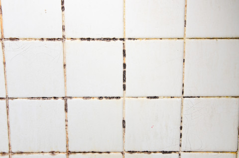 mouldy-tiles-on-bathroom-wall