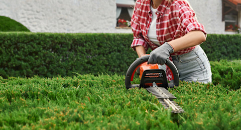 hedge a lawn 3
