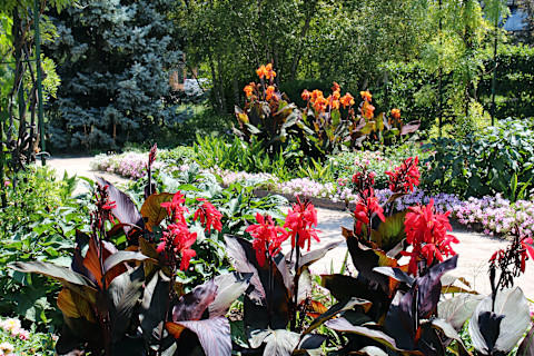 Garden renovation 1