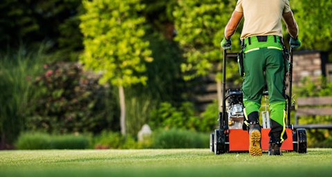 This image shows the back view of a professional gardener mowing a lawn with a push mower on a sunny day.