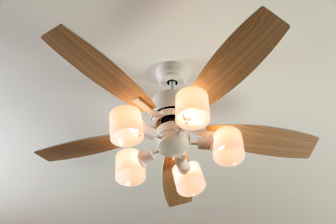 Contemporary ceiling fan with lights