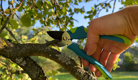 Garden Tools 2