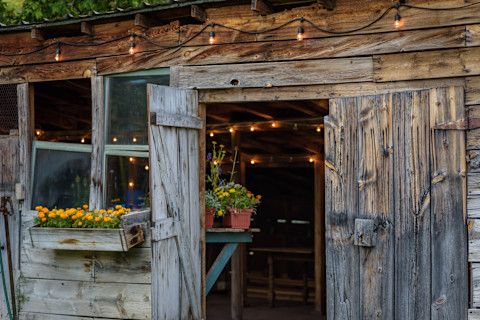 Shed decoration 3