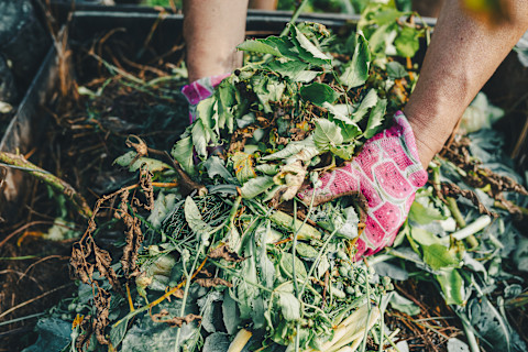An image of a garden waste removal service