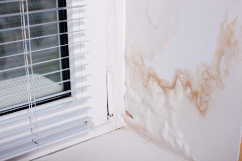 banish-the-dreaded-damp