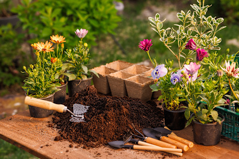 Feb Garden Jobs
