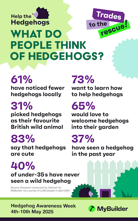 What do people think of hedgehogs