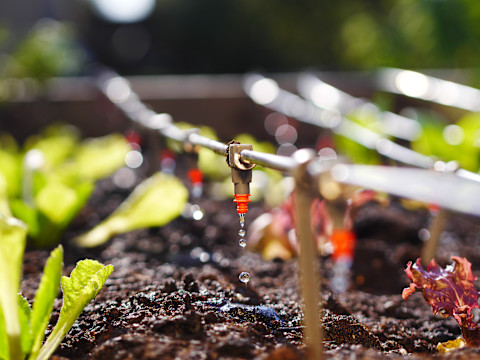 Drip Irrigation System