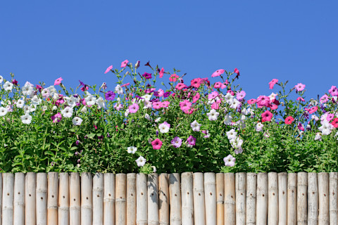 Garden Fence Ideas 8 (1)