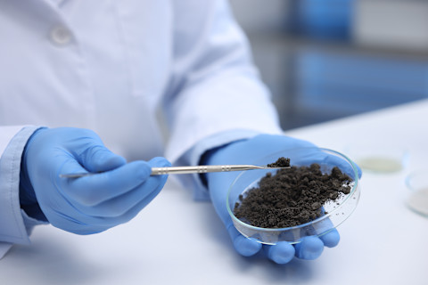 Soil testing cost 2