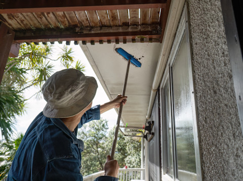 Cleaning fascia and soffit