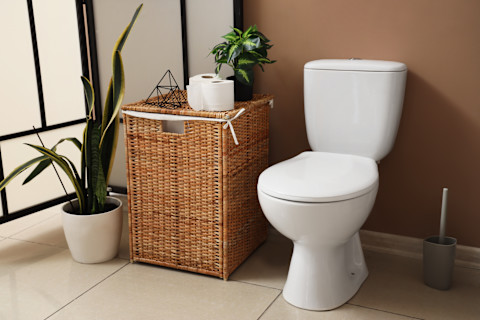 brown stains in toilet01