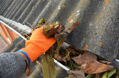 Gutter cleaning guide 2