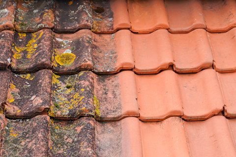 Clean roof tiles