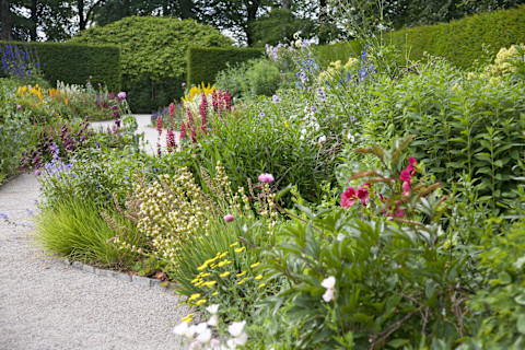 english-herb-garden-border