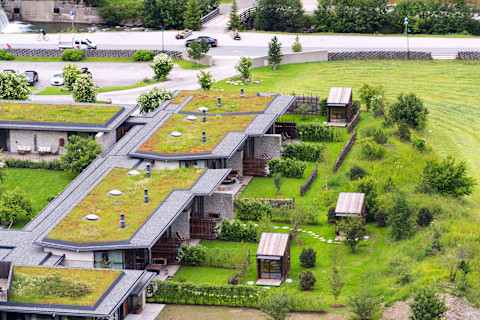 green-living-roofs