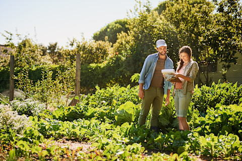 Garden landscaping costs 1