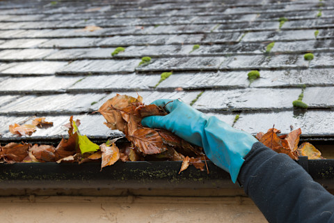 How to clean gutters 3