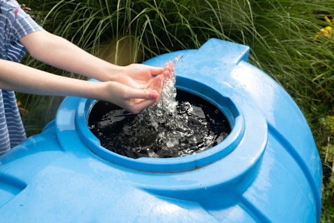hands collecting rainwater from Harvesting Systems