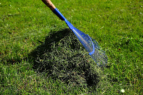 When to mow lawn 4