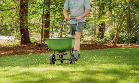Lawn care calendar 2
