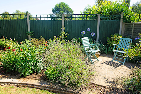 Inviting seating area with modern chairs and natural elements, bathed in soft natural light.