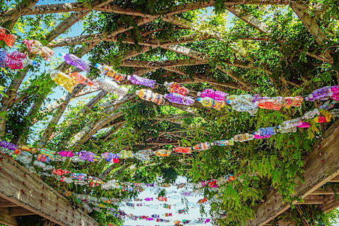 upcycled-water-bottle-garden-decoration