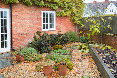 English garden in autumn with fallen leaves, potted plants, and hard landscaping.