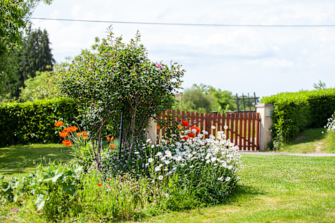 This image shows a charming spring and summer garden display featuring a variety of vibrant cottage flowers in full bloom, surrounded by lush greenery.
