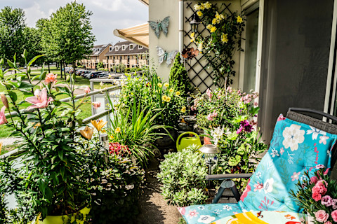 Best Balcony Plants for Small Spaces