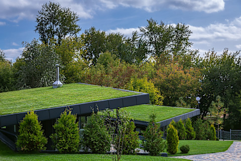 homes-with-green-roofs