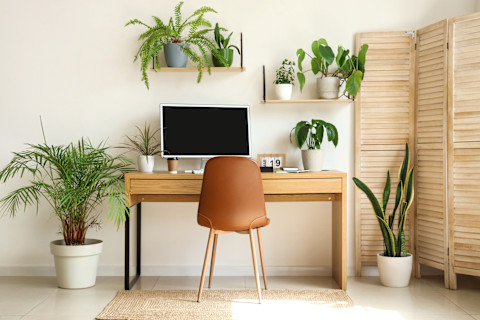 This image shows a bright and modern home office set-up with a desk, computer, chair and leafy green plants in pots.