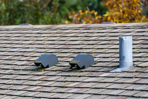 A suburban house rooftop with grey shingles, roof vents, and a small chimney. Autumn colours from magnolia trees are behind the roof on a sunny day