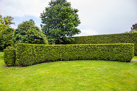 Edge A Lawn