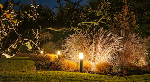 Garden Lighting 
